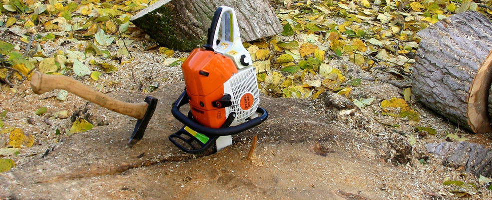 tree removal sparks